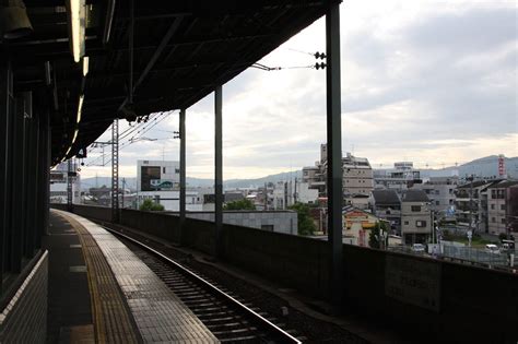 寝屋川市駅 居酒屋 ～駅前の喧騒と一杯の静寂～